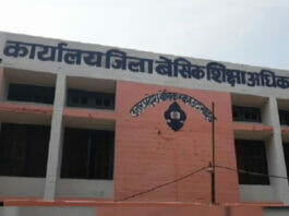 UP News