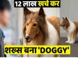 Viral News
