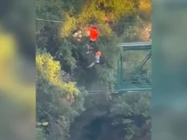 Viral Video
