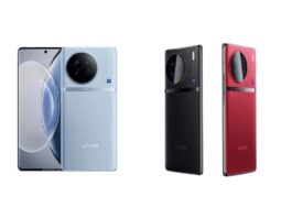 Vivo X100
