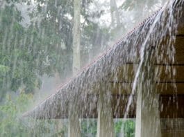 Weather Updates