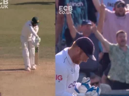 Cricket Viral Video