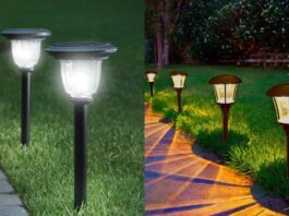 Garden Lights