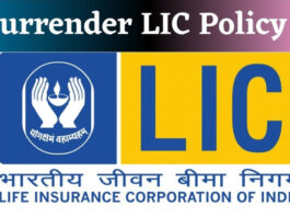 LIC Policy