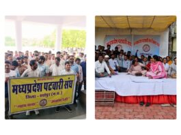 MP News