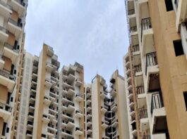 Noida News