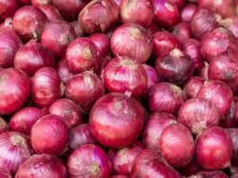 Onion Price Hike