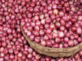 Onion Price Hike