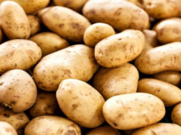 Potato Price Hike