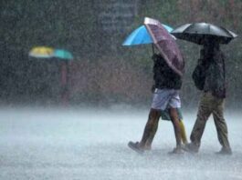 Rain Alert