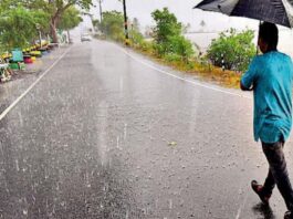 Rain Alert