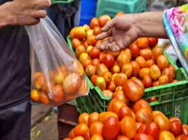 Tomato Price