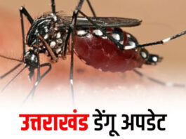 Uttarakhand News