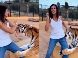 viral video