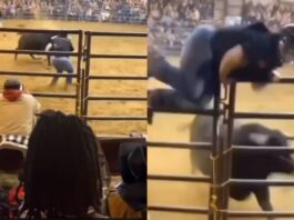 viral video