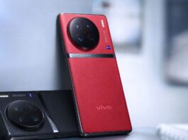 vivo
