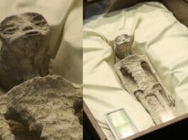 Alien Corpse