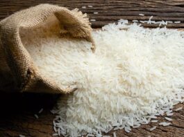 India Ban Rice Export