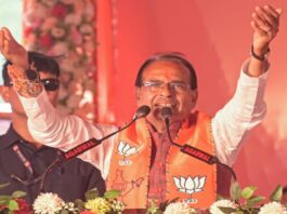 MP News