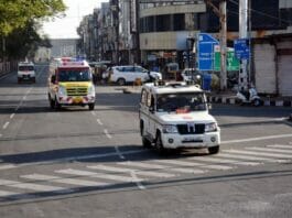 MP News
