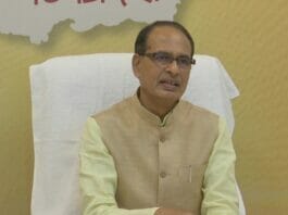 MP News
