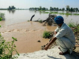 Punjab News