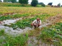 Rajasthan News