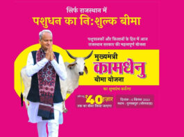 Rajasthan News