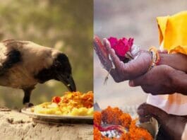 Pitru Paksha 2023: