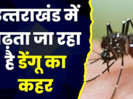 Uttarakhand News