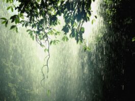 Weather Update