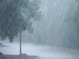 Weather Update