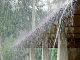 Weather Update