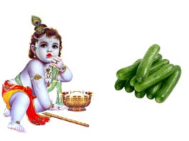 lord krishna