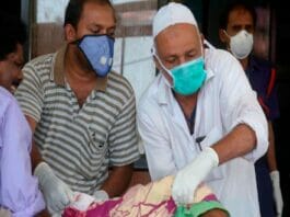 nipah virus