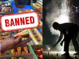 Bihar Firecracker Ban