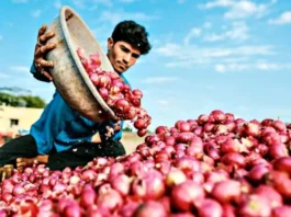 Onion Price Hike
