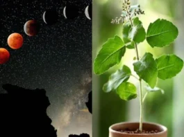 Chandra Grahan 2023: