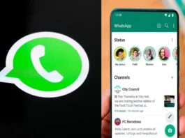 WhatsApp Channel