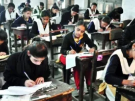 MP Open School Board