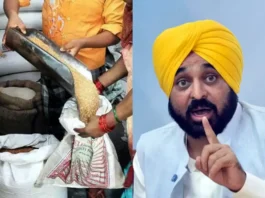 Punjab News