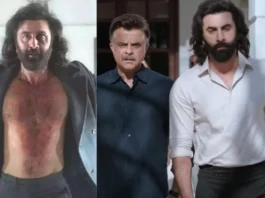 Box Office Collection Animal