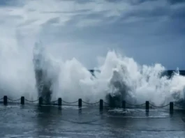Cyclone Michaung