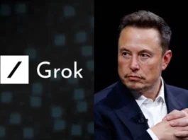Grok AI Chatbot