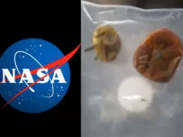 NASA