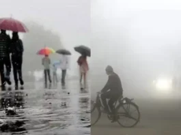 Punjab Weather Update