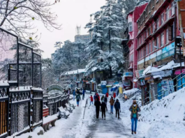 snowfall