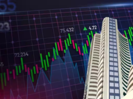 Stock Market