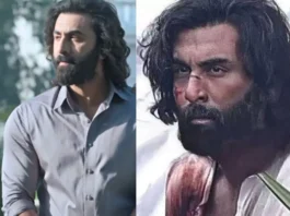Box Office Collection Animal
