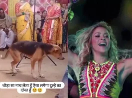 dog viral video